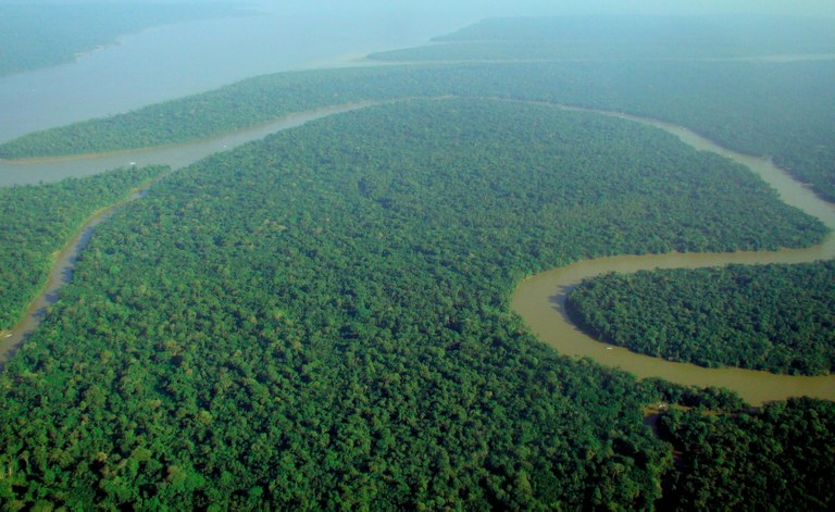 copy_of_Aerial_view_of_the_Amazon_Rainforest.jpg