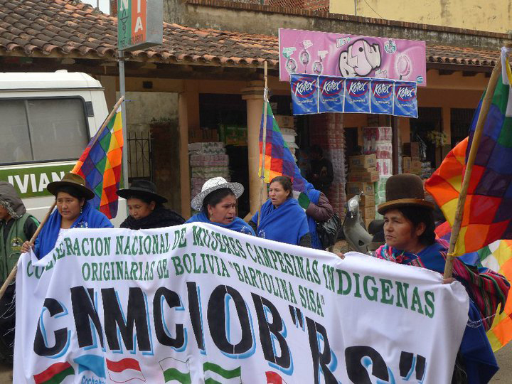 BO-Bartolina_Sisa_manifestation,_Trinidad_2.jpg
