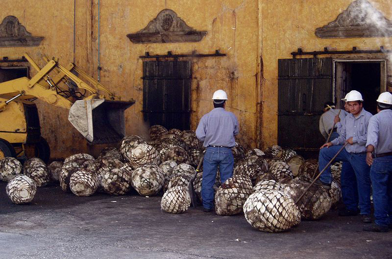 800px-Jose_Cuervo_ovens.jpg