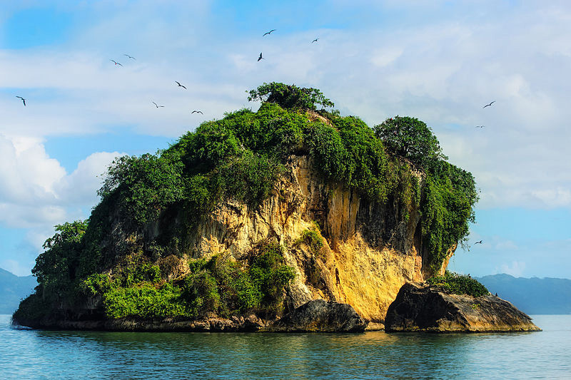 800px-Dominican_Republic_Los_Haitises_birds_island.jpeg